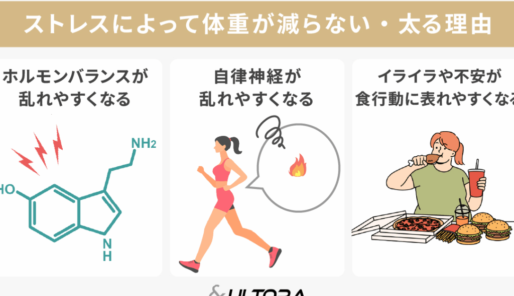 ストレスが痩せる理由とは？そのメカニズムを解説